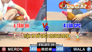 Trận 19 CPC3 20/04/2026 - Đỏ Dập Như Máy Khâu Đè Xanh Hư Cổ Xịt Si rô