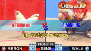 Trận 20 CPC3 20/04/2026 - Đỏ Thấm Tang Nhường Xanh Thắng Cuộc