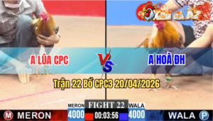 Trận 22 CPC3 20/04/2026 - Gà Anh Lúa CPC Quá Nhanh Quá Nguy Hiểm