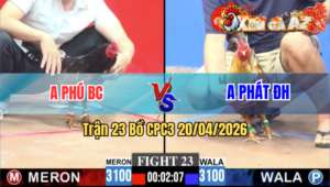 Trận 23 CPC3 20/04/2026 - Đứng Gồng Tang Tới Cuối Cùng Hòa Nhau