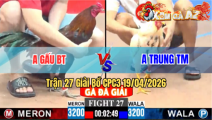Trận 27 Giải CPC3 19/04/2026 - Bướm Đá Quá Đá Điều Chết Biệt Trong Chân