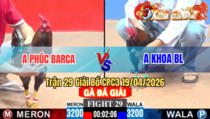 Trận 29 Giải CPC3 19/04/2026 - Xanh Đâm Quá Đâm Đỏ Nằm Tại Chỗ Nhanh Lẹ