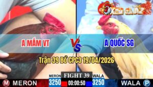 Trận 39 CPC3 19/04/2026 - Bướm Đâm Như Xôm Điều Hư Hình Hết Đứng