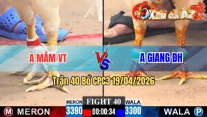 Trận 40 CPC3 19/04/2026 - Xanh Quá Tốc Độ Đá Đỏ Không Kịp Trở Mình Bưng Ra
