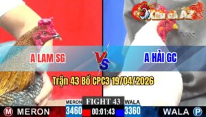 Trận 43 CPC3 19/04/2026 - Đỏ Đá Bo Xe Đụng Xanh Nằm Tại Chỗ Chỉ 2 Tay Nước