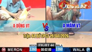 Trận 44 CPC3 19/04/2026 - Bướm Gãy Chân Nhưng Phản Tang Ăn 1 Khi Điều Nằm Chết