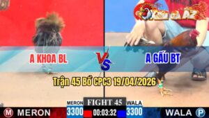 Trận 45 CPC3 19/04/2026 - Xanh Lên Chân Đỏ Lìa Chân Hết Sữa