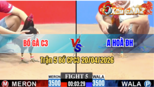 Trận 5 CPC3 20/04/2026 - Que Đá Cựa Quá Cựa Điều Chịu Hết Nổi