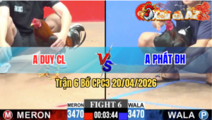 Trận 6 CPC3 20/04/2026 - Gà Xanh Đá Quá Đá Hạ Đỏ Dễ Dàng