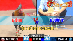 Trận 7 CPC3 19/04/2026 - Đỏ Đâm Xanh Té Lụm Lúa Đơn Giản