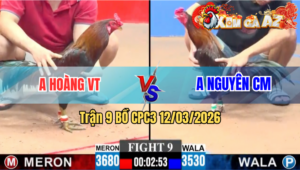 Trận 9 CPC3 19/04/2026 - Đỏ Quá Tốc Độ Buôn Đuôi Đá Xanh Ói Chỉ 1 Tay Nước