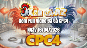 Xem Full Video Đá Gà CPC4 Ngày 16/04/2026