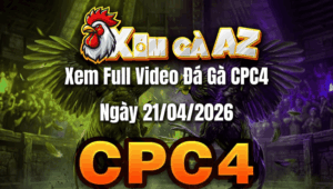 Xem Full Video Đá Gà CPC4 Ngày 21/04/2026