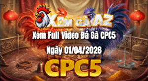 Xem Full Video Đá Gà CPC5 Ngày 01/04/2026