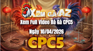 Xem Full Video Đá Gà CPC5 Ngày 10/04/2026