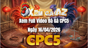 Xem Full Video Đá Gà CPC5 Ngày 16/04/2026