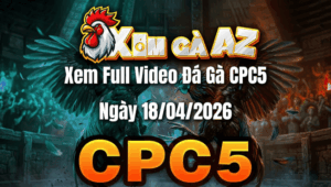Xem Full Video Đá Gà CPC5 Ngày 18/04/2026
