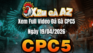 Xem Full Video Đá Gà CPC5 Ngày 19/04/2026