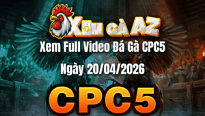 Xem Full Video Đá Gà CPC5 Ngày 20/04/2026