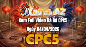 Xem Full Video Đá Gà CPC5 Ngày 04/04/2026