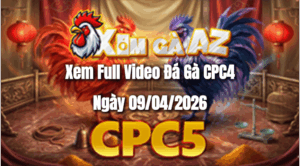 Xem Full Video Đá Gà CPC5 Ngày 09/04/2026