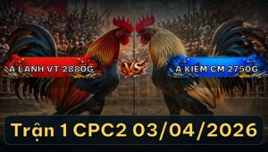 Trận 1 Bồ CPC2 3/4/2026 - Xanh May Mắn Hạ Đỏ Nằm Bẹp Phút 90
