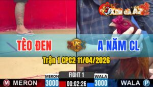 Trận 1 CPC2 11/04/2026 - Bướm Đá Ăn 1 Quay Đầu Bỏ Chạy Huề Đầy Cay Đắng