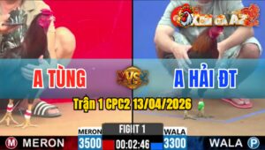 Trận 1 CPC2 13/04/2026 - Đỏ Đá Nhẹ Nhàng Xanh Lìa Chân Nằm Biệt