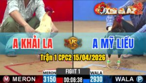 Trận 1 CPC2 15/04/2026 - Bướm Đá 1 Đá Điều Nằm Tại Chỗ