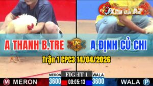 Trận 1 CPC3 14/04/2026 - Bướm Đâm Quá Đâm  Vài Chân Bưng Úa Ra Sân