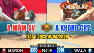 Trận 1 CPC3 16/04/2026 - Điều Đâm Quá Đâm  Xám Hư Hình Hết Sửa