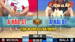 Trận 10 CPC2 11/04/2026 - Úa Trả Chân Chói Bướm Lật Xe Nằm Tại Chỗ