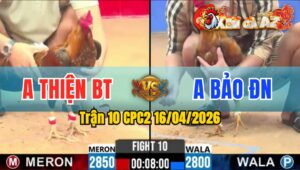 Trận 10 CPC2 16/04/2026 - Xanh Quá May Độ Thủ Huề Đầy Kịch Tính