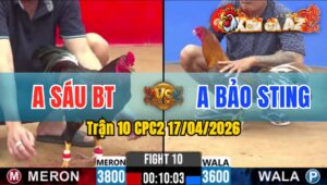 Trận 10 CPC2 17/04/2026 - Khét Đâm Quá Đâm Điều Hư Hình Nằm Tại Chỗ