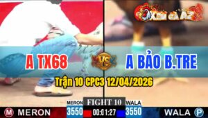 Trận 10 CPC3 12/04/2026 - BƯỚM ĐÂM LẠI CHÂN QUÁ SÂU  ĐIỀU VÀNG HẾT ĐỨNG