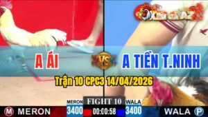 Trận 10 CPC3 14/04/2026 - Đỏ Tốc Độ Lụm Xanh Chưa Hết 1 Tay Nước