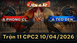 Trận 11 CPC2 10/04/2026 - Vàng Đứng Cụng Úa Hết Sức Bỏ Chạy