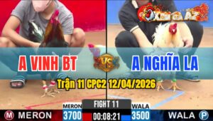 Trận 11 CPC2 12/04/2026 - Điều Chưa Đá Phóng Xâu Và Cái Kết Bướm Đá 1 Chân Lìa Giò