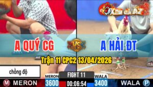 Trận 11 CPC2 13/04/2026 - Điều Trả Chân Quá Tịch Bướm Hư Hình Bỏ Chạy