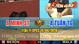 Trận 11 CPC2 15/04/2026 - Điều Đâm Quá Đâm Bướm Hư Hình hết Cứu