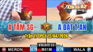 Trận 11 CPC3 12/04/2026 - ĐIỀU ĐÂM QUÁ ĐÂM MẤY CHÂN LỤM LÚA