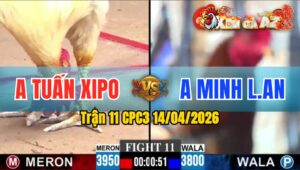 Trận 11 CPC3 14/04/2026 - Úa Đâm Điều Hư Hình  Hết Sửa