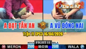 Trận 11 CPC3 16/04/2026 - Điều Nạp 1 Hơi  Chuối Xĩu Tại Chỗ