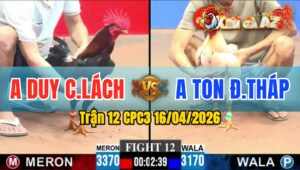 Trận 12 CPC3 16/04/2026 - Điều Đâm Như Máy Khâu 3 Chân Bưng Bướm Ra Sân