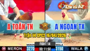 Trận 14 CPC2 16/04/2026 - Bướm Nạp Bo Quá Lớn Điều Hư Hình Hết Cứu