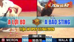 Trận 14 CPC2 17/04/2026 - Điều Chấp Ngông Vẫn Đá Bướm Nằm 1 Đống