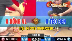 Trận 14 CPC2 18/04/2026 - Bướm Giao Chân Quá Tịch 1 Tay Nước Khét Chết Biệt Bưng Ra