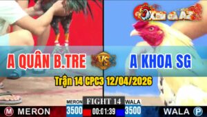 Trận 14 CPC3 12/04/2026 - ĐIỀU BÔNG HẠ BƯỚM CHƯA TƠI 1 TAY NƯỚC