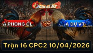 Trận 16 CPC2 10/04/2026 - Que Đâm Mu Lưng Bướm Hư Hình Hết Cứu