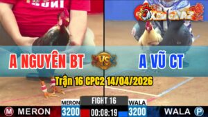 Trận 16 CPC2 14/04/2026 - Gà Úa Toàn Canh Đâm Ngay Lưng Hạ Đối Thủ